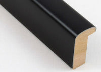 Custom Frame CFSZ31813