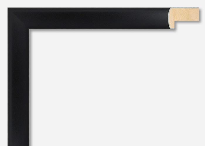 Custom Frame CFSZ31813