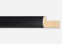 Custom Frame CFSZ31813