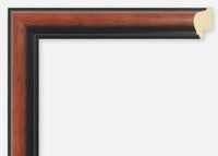 Custom Frame CFSX340-30