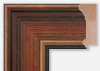 Custom Frame CFSX340-50