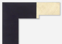 Custom Frame CFSX350-45