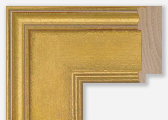 Custom Frame CFSX350-50