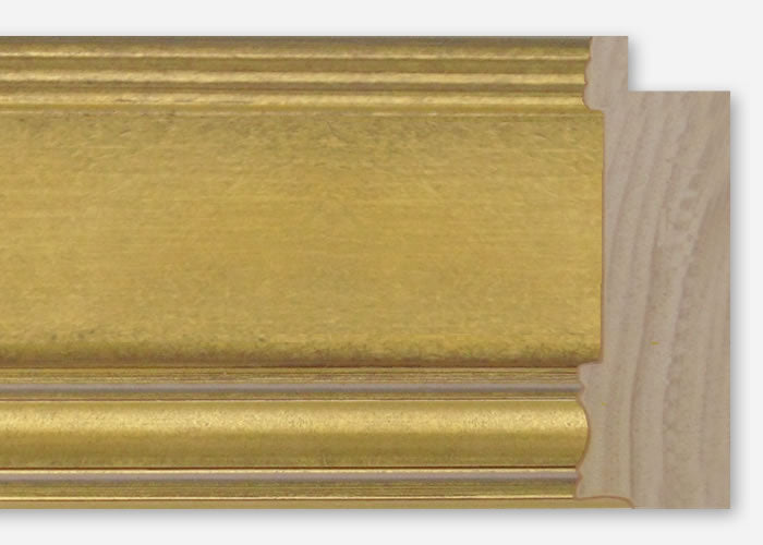 Custom Frame CFSX350-50