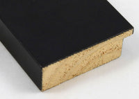 Custom Frame CFSZ0370