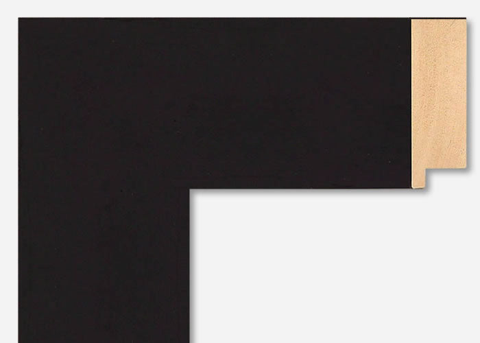 Custom Frame CFSZ0370