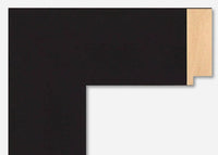 Custom Frame CFSZ0370