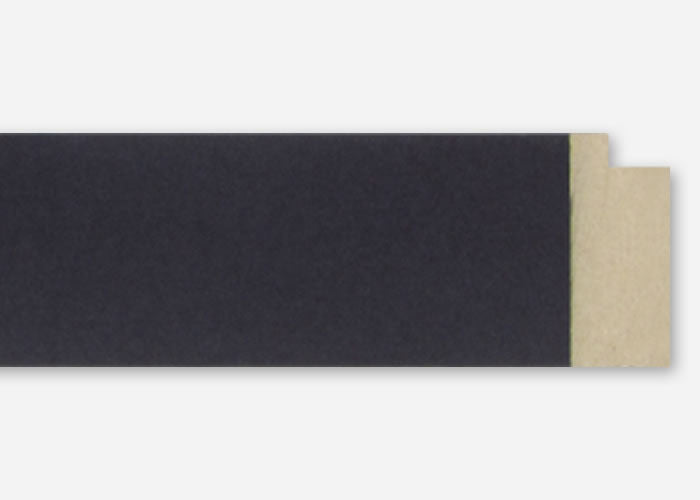 Custom Frame CFSX4100-20