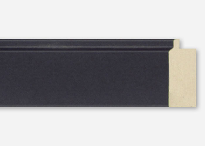 Custom Frame CFSX4100-25