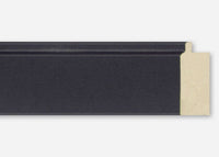 Custom Frame CFSX4100-25