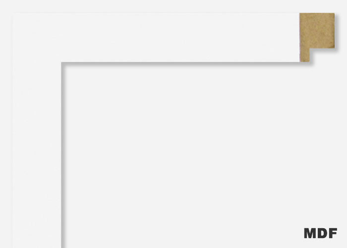 Custom Frame CFSX4100-55