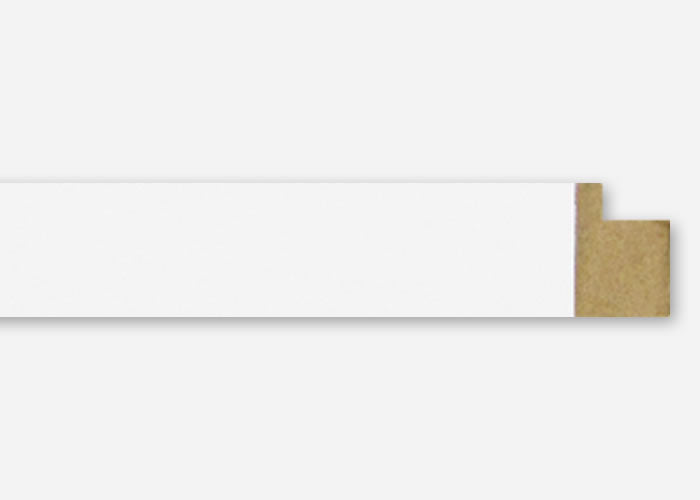 Custom Frame CFSX4100-55