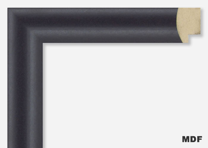 Custom Frame CFSX4100-65