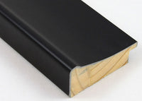 Custom Frame CFSZ0412