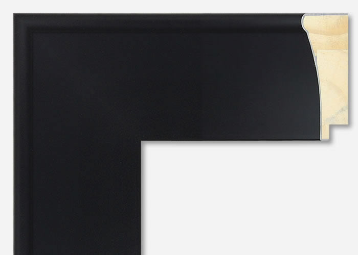 Custom Frame CFSZ0412