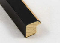 Custom Frame CFSZ0418