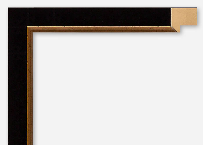 Custom Frame CFSZ0418