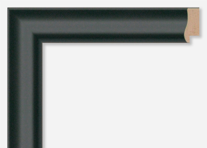Custom Frame CFSX460-55