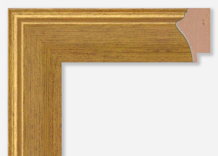 Custom Frame CFSX470-05