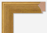 Custom Frame CFSX470-05