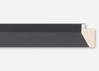 Custom Frame CFSX480-10