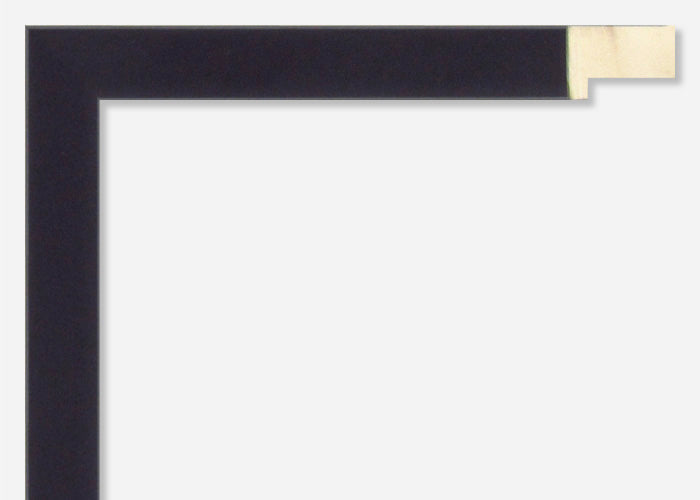 Custom Frame CFSX480-15