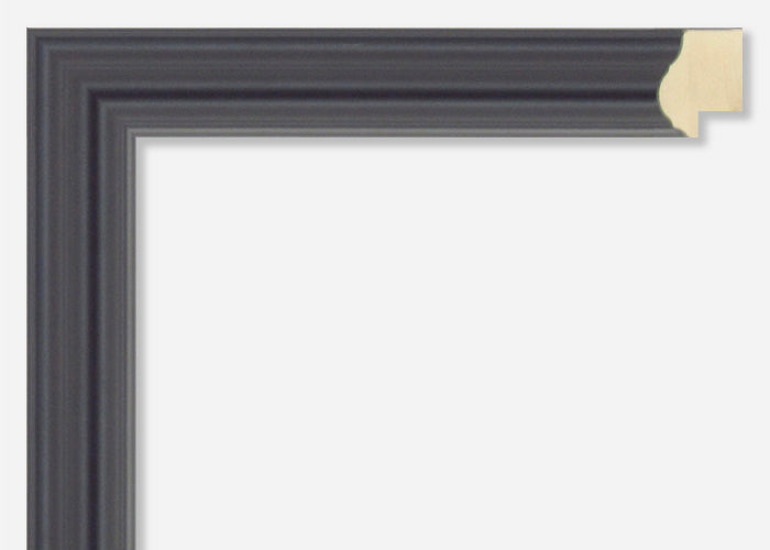 Custom Frame CFSX480-50