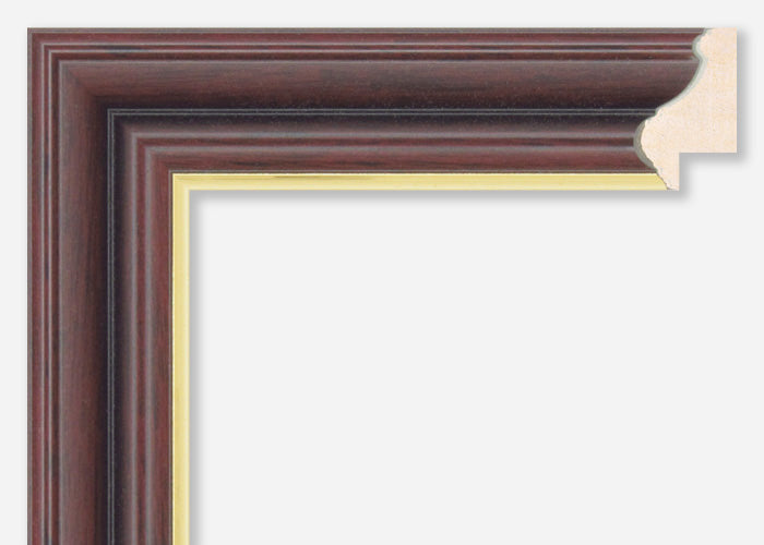 Custom Frame CFSX600-50