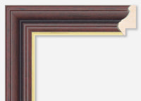 Custom Frame CFSX600-50