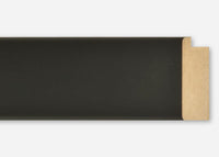 Custom Frame CFSZ6005