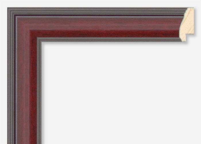 Custom Frame CFSX620-65