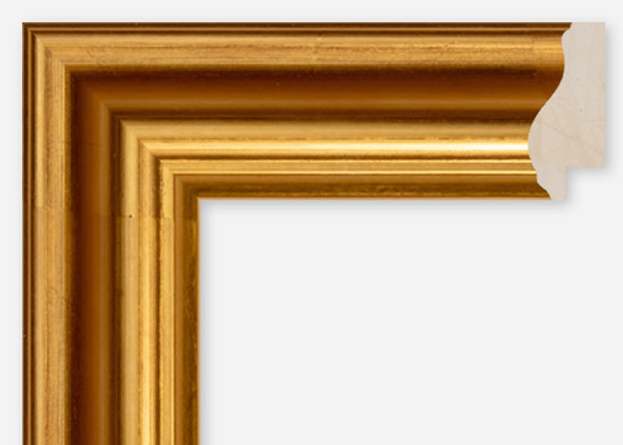Custom Frame CFSQ6521
