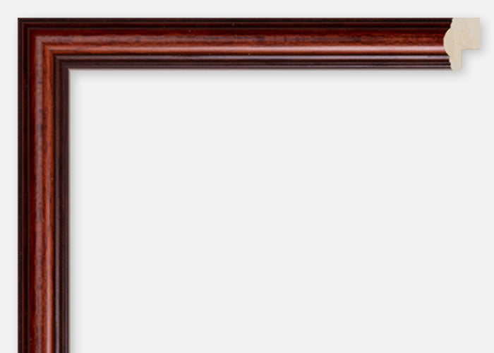 Custom Frame CFSQ6559