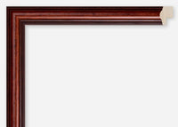 Custom Frame CFSQ6559