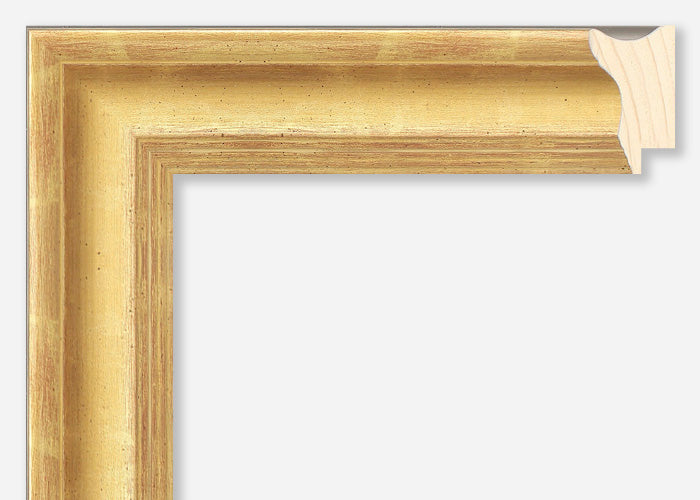 Custom Frame CFSY731-6007