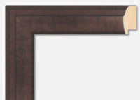 Custom Frame CFSX800-245