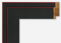 Custom Frame CFSX800-290