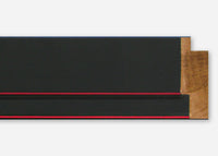 Custom Frame CFSX800-290