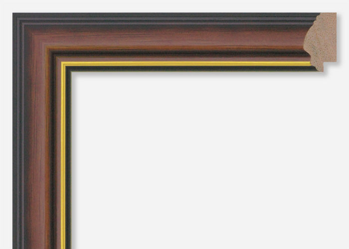 Custom Frame CFSX800-420