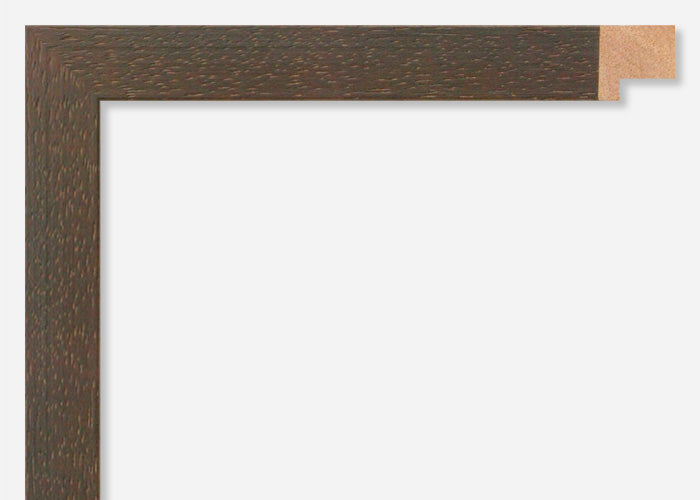 Custom Frame CFSX800-565