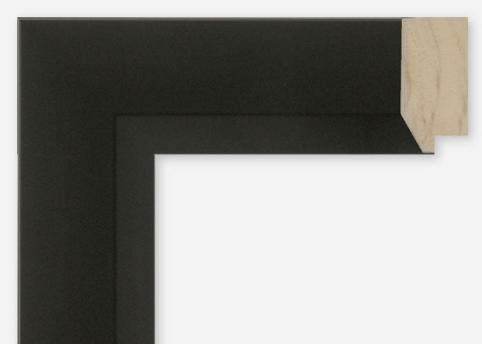 Custom Frame CFSX800-575