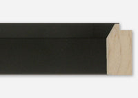 Custom Frame CFSX800-575