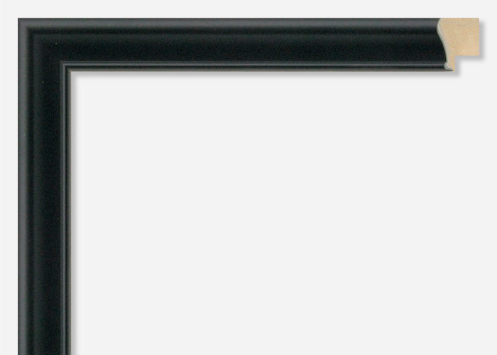 Custom Frame CFSX800-585