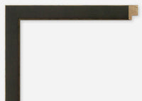 Custom Frame CFSX800-595