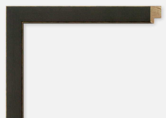 Custom Frame CFSX800-595