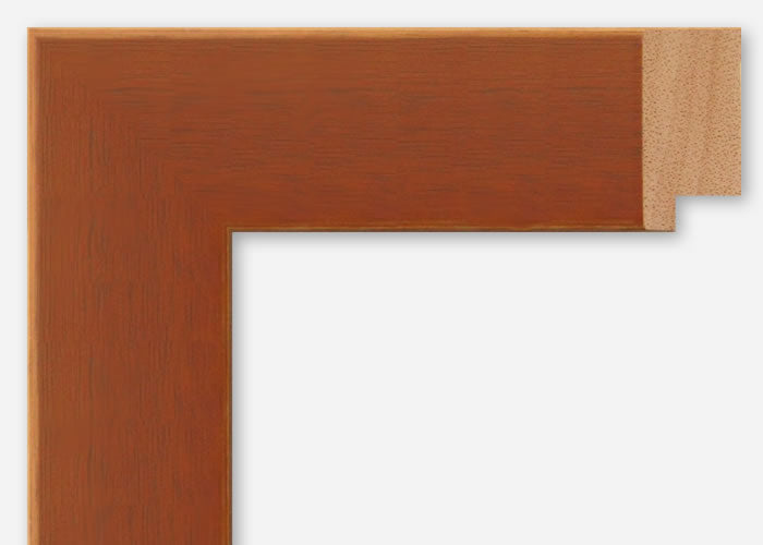 Custom Frame CFSX800-600