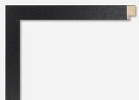 Custom Frame CFSX800-665