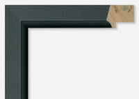 Custom Frame CFSX800-820