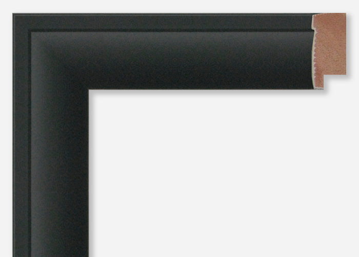 Custom Frame CFSX800-850