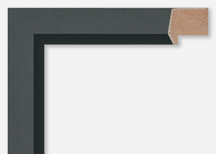 Custom Frame CFSX800-875